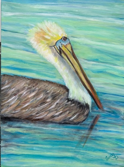 Peli-Can — brown pelican floating on shimmering green coastal water